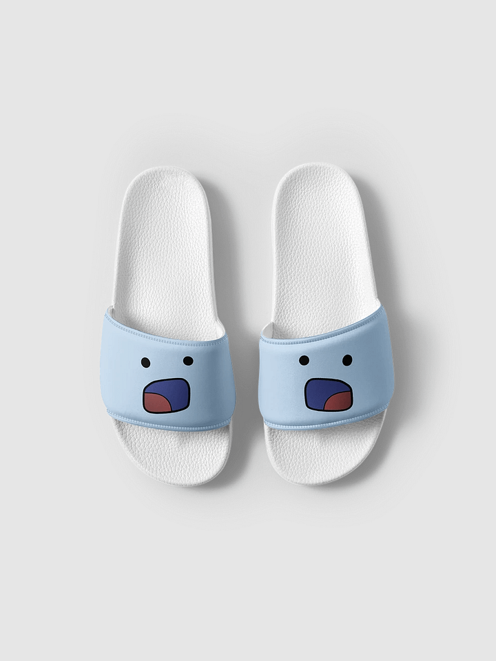 D: slides product image (1)