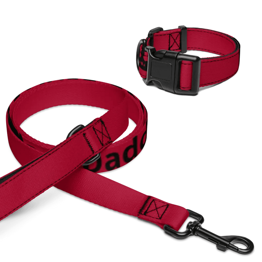 Pet Collar & Leash Set product image (4)