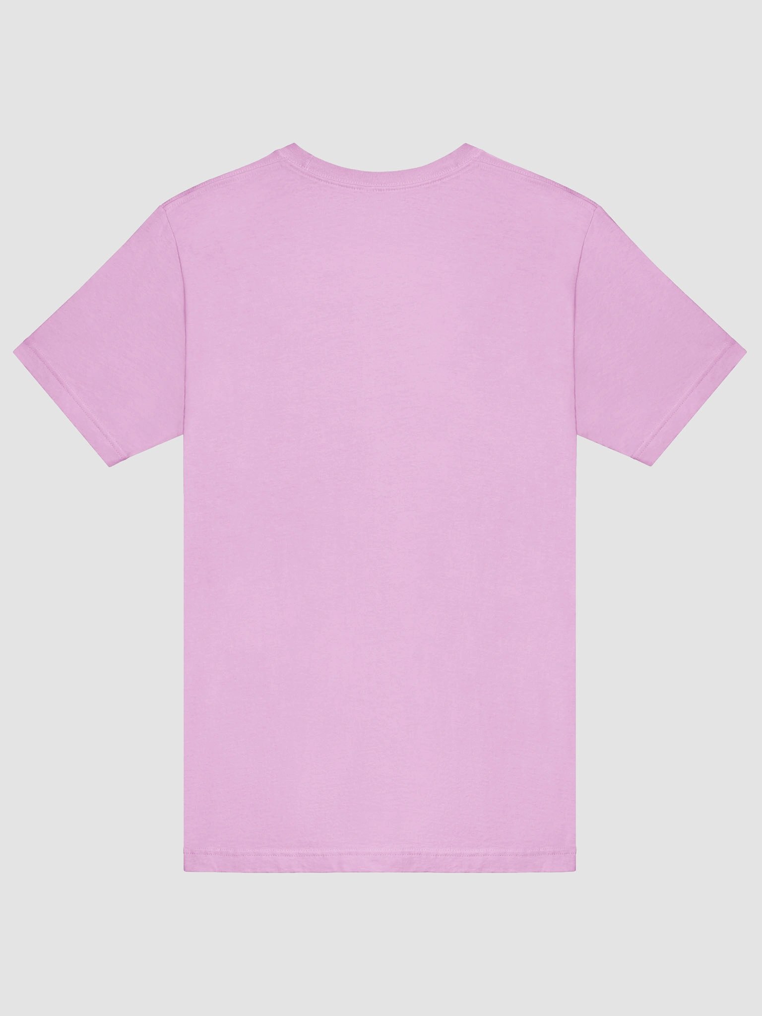 Fruitful Vegan Vibes T-Shirt product image (6)