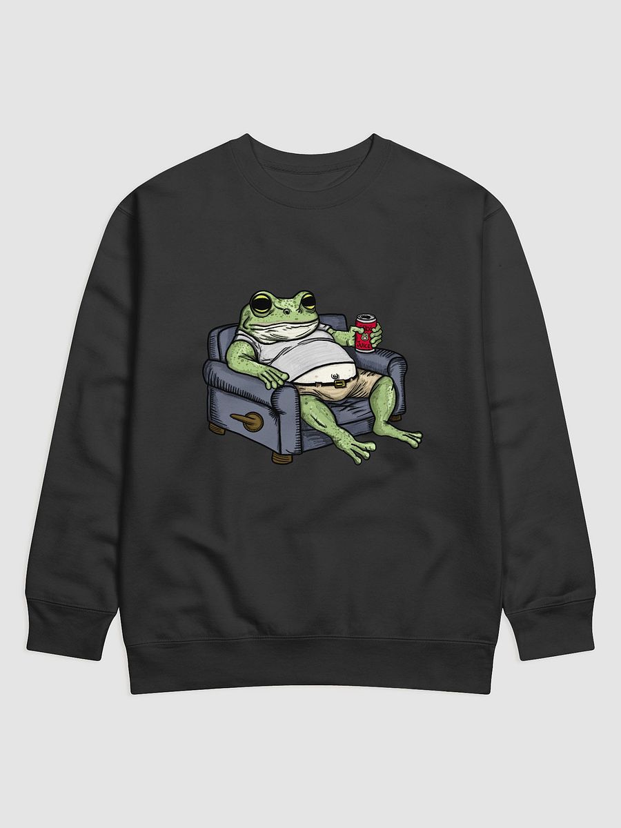 Frog on a Couch product image (1)