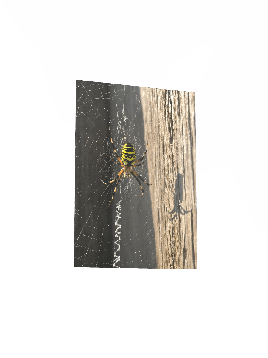 Golden Web: Yellow Garden Sentinel Poster product image (30)