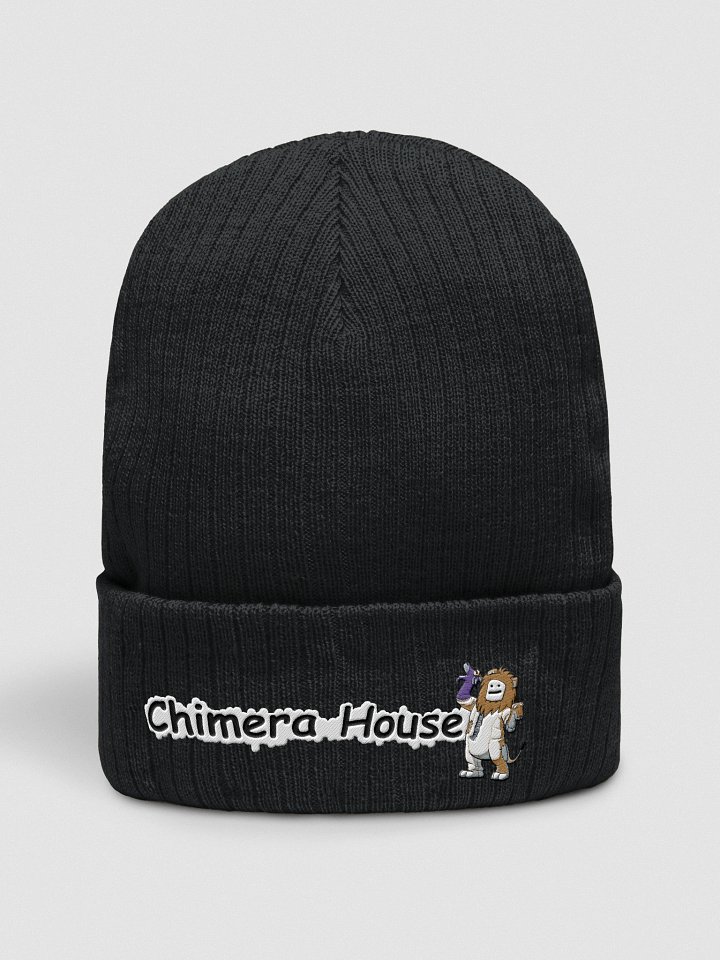 Chimera House Beanie product image (1)