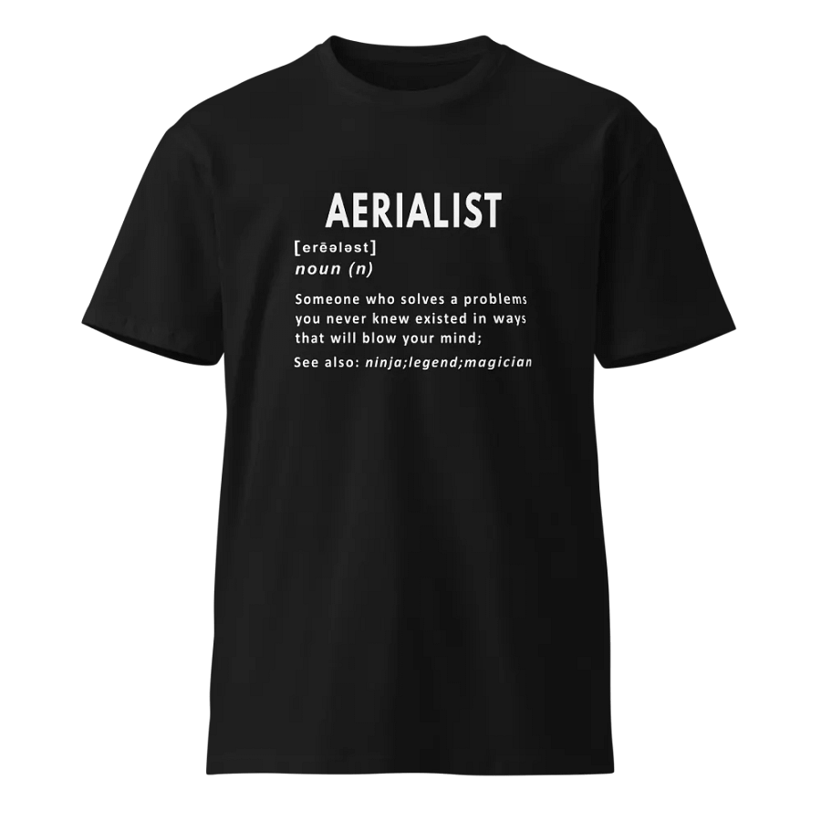 Aerialist Noun Funny Definition Unisex Premium T-Shirt product image (1)