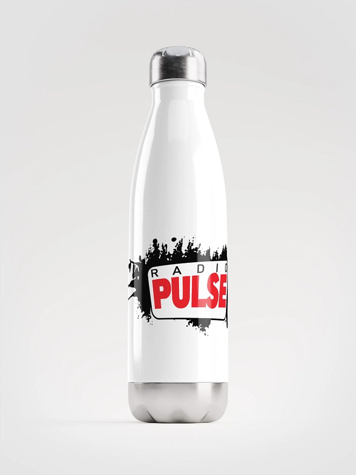 Gourde Radio Pulse product image (1)