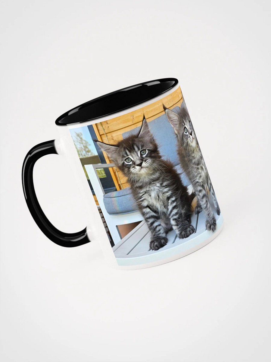 Luna's Kittens - Mug With Color product image (1)