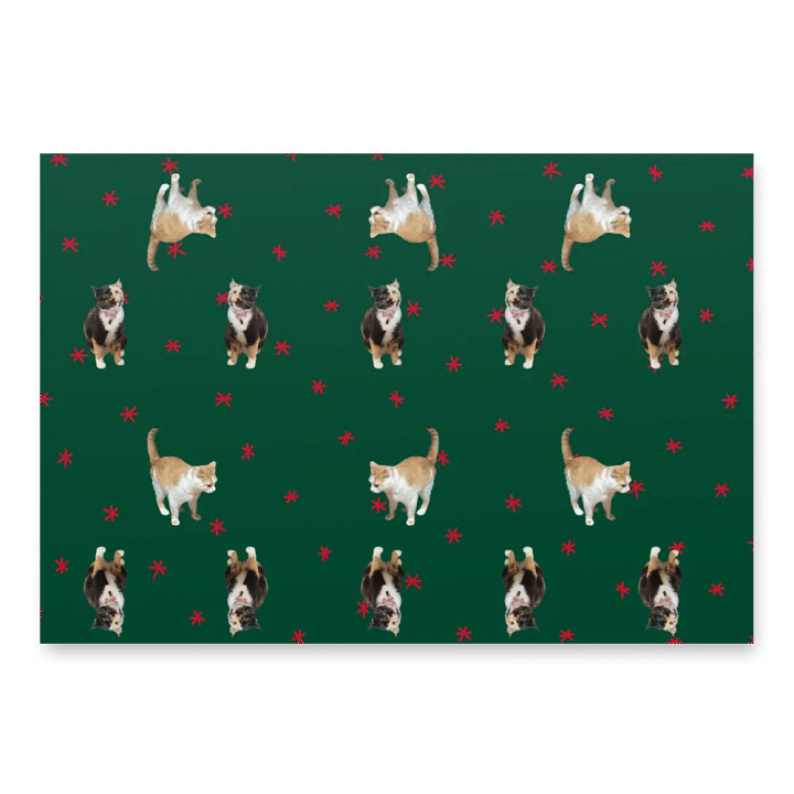 Lyra/Thurston Collab Christmas Wrapping Paper product image (2)