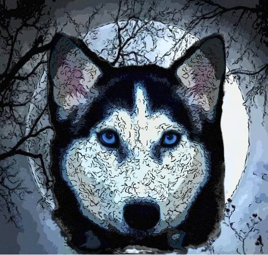 Husky Moon Digital Print product image (1)
