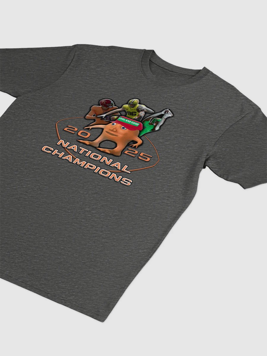 Tardaria 2025 National Champions Cotton Heritage Men's Premium Heavyweight Tee product image (8)