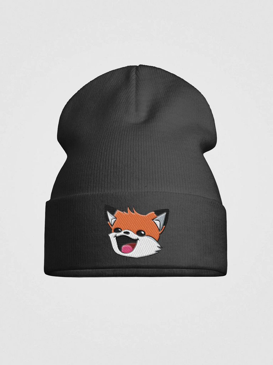 Benjamin Derp Beanie product image (3)