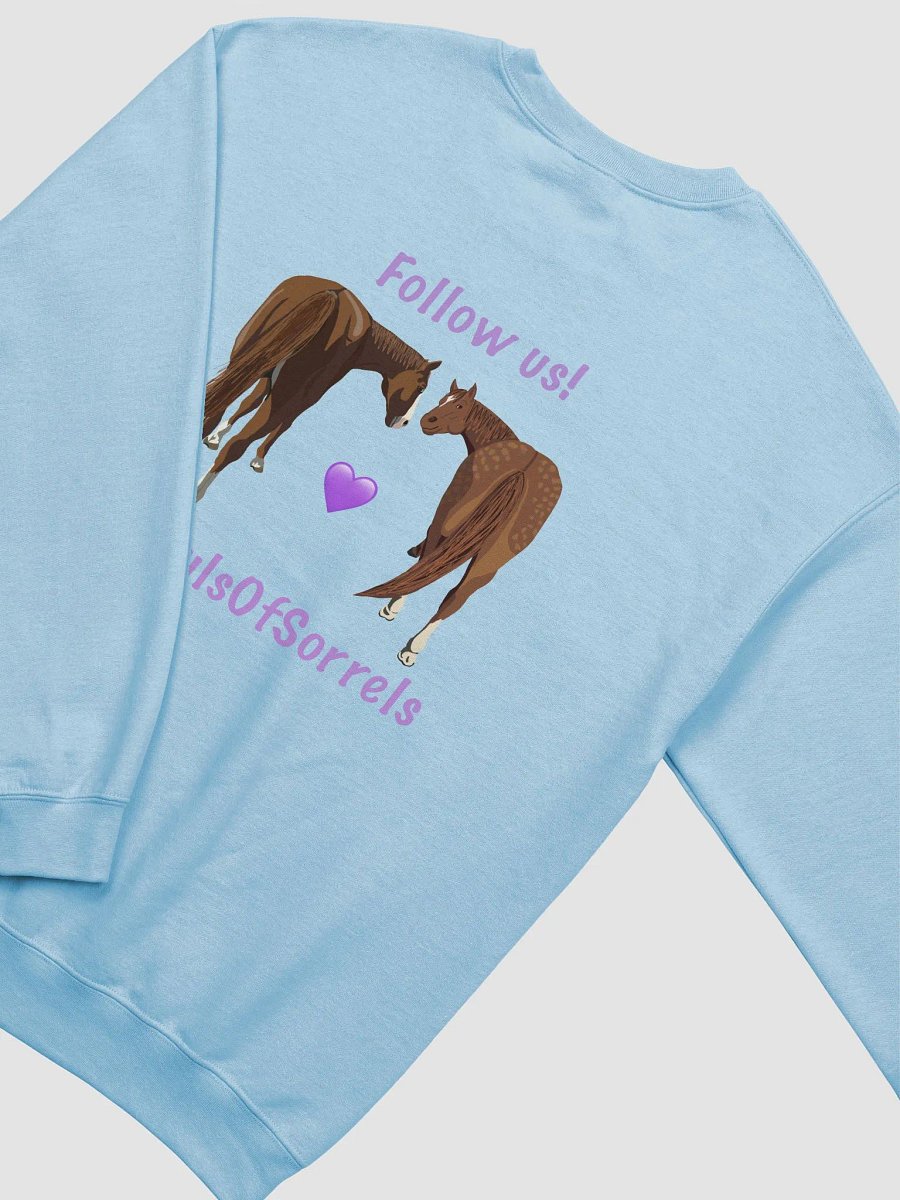 Follow Us Crewneck Sweatshirt, light colors product image (4)