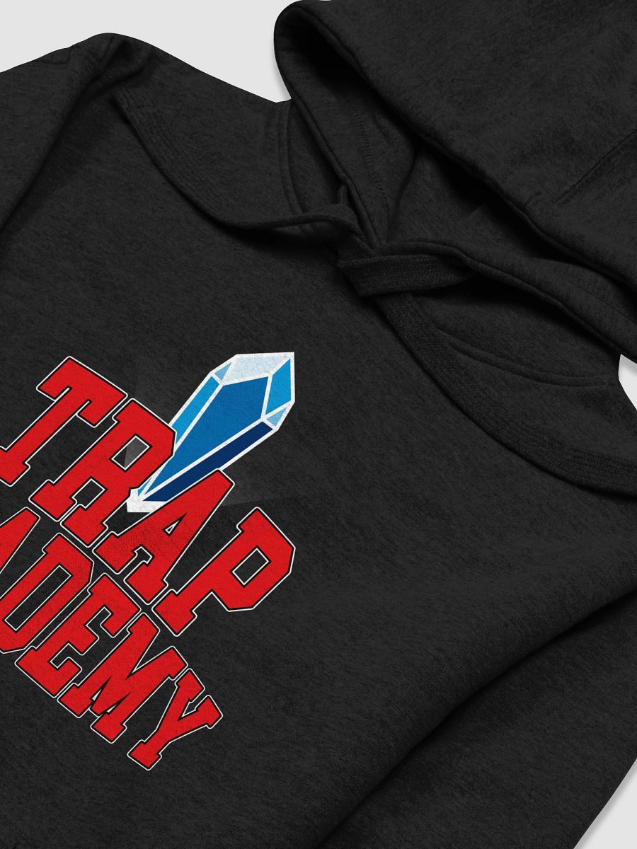 Trap Academy Hoodie product image (24)