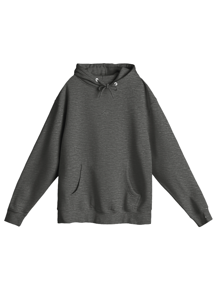 need money for zx10r | heavy hoodie product image (1)