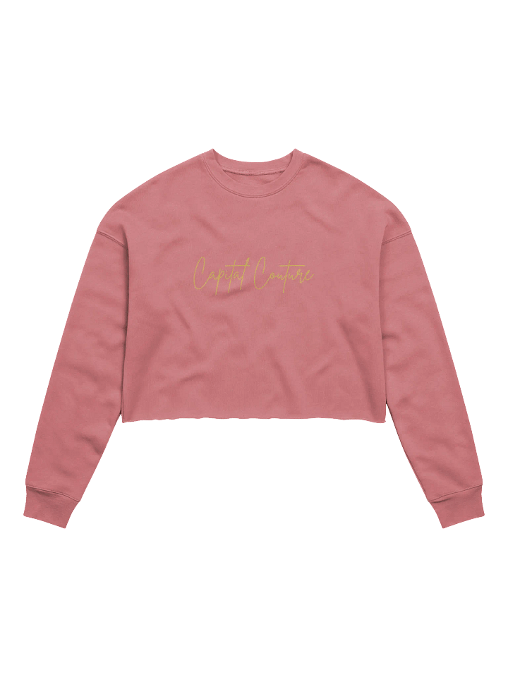 capital couture crop sweatshirt product image (38)