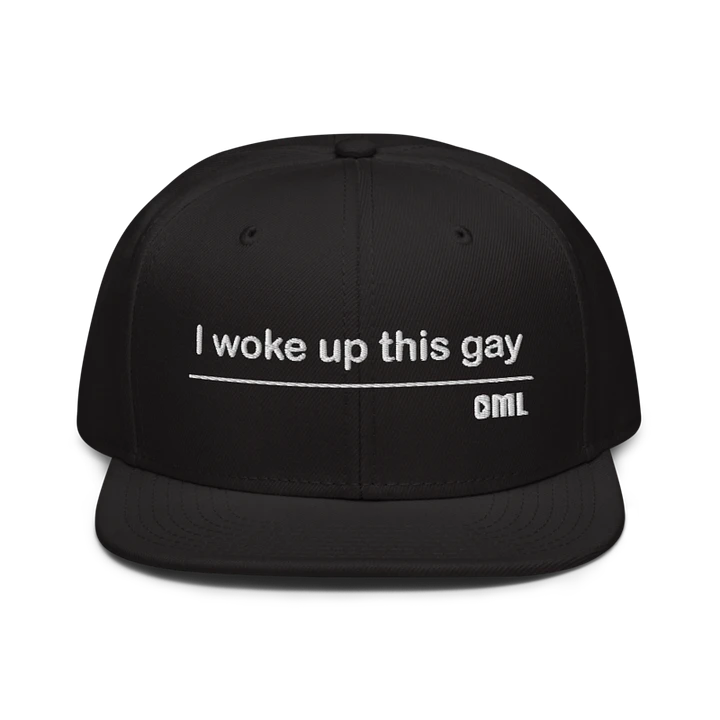 I Woke Up This Gay Snapback - Black product image (1)