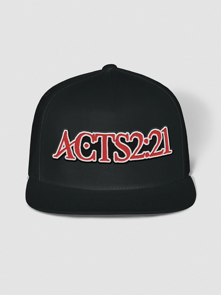 ACTS 2:21 Snapback product image (2)