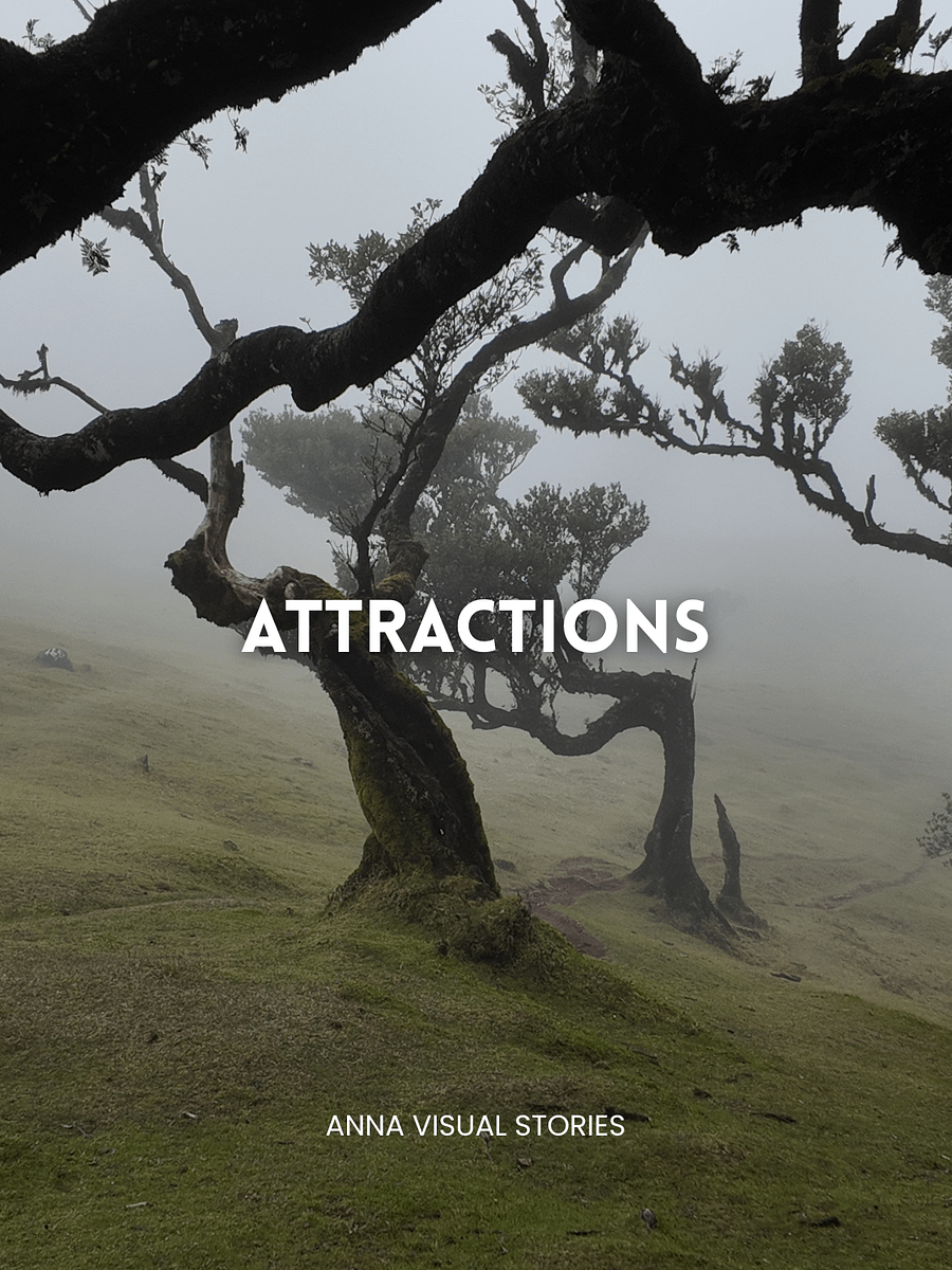 Madeira Itinerary product image (6)