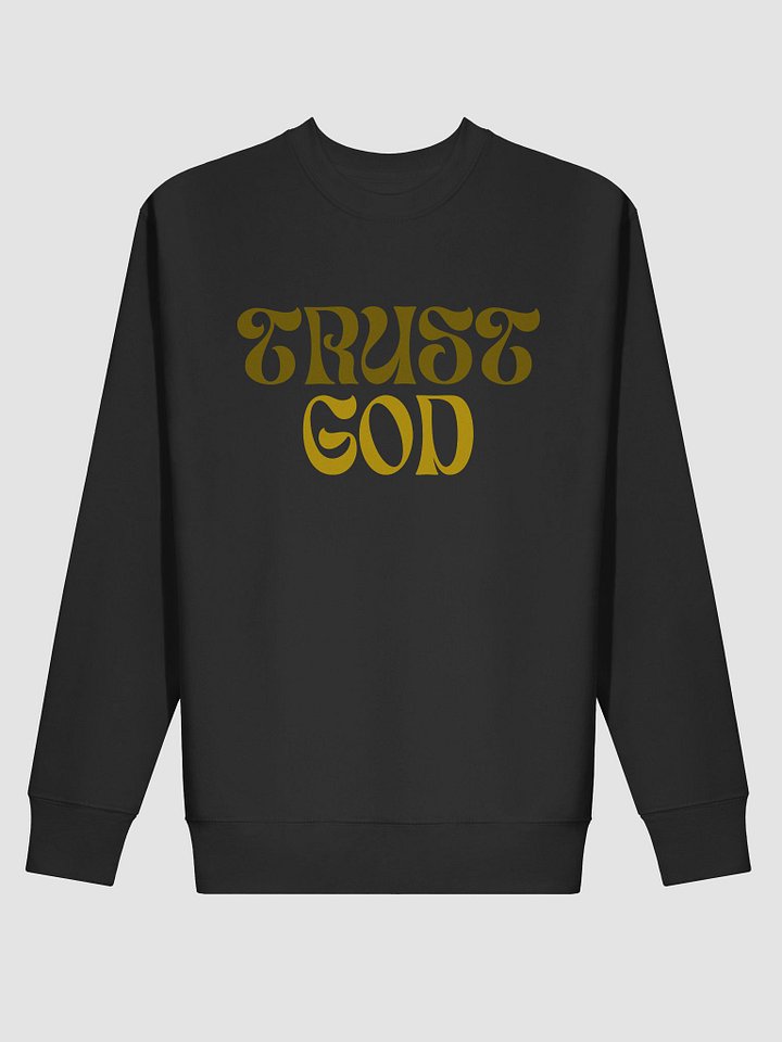 Trust God Sweatshirt product image (11)