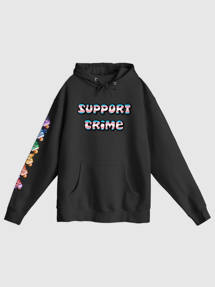 Trans Crime Hoodie product image (2)