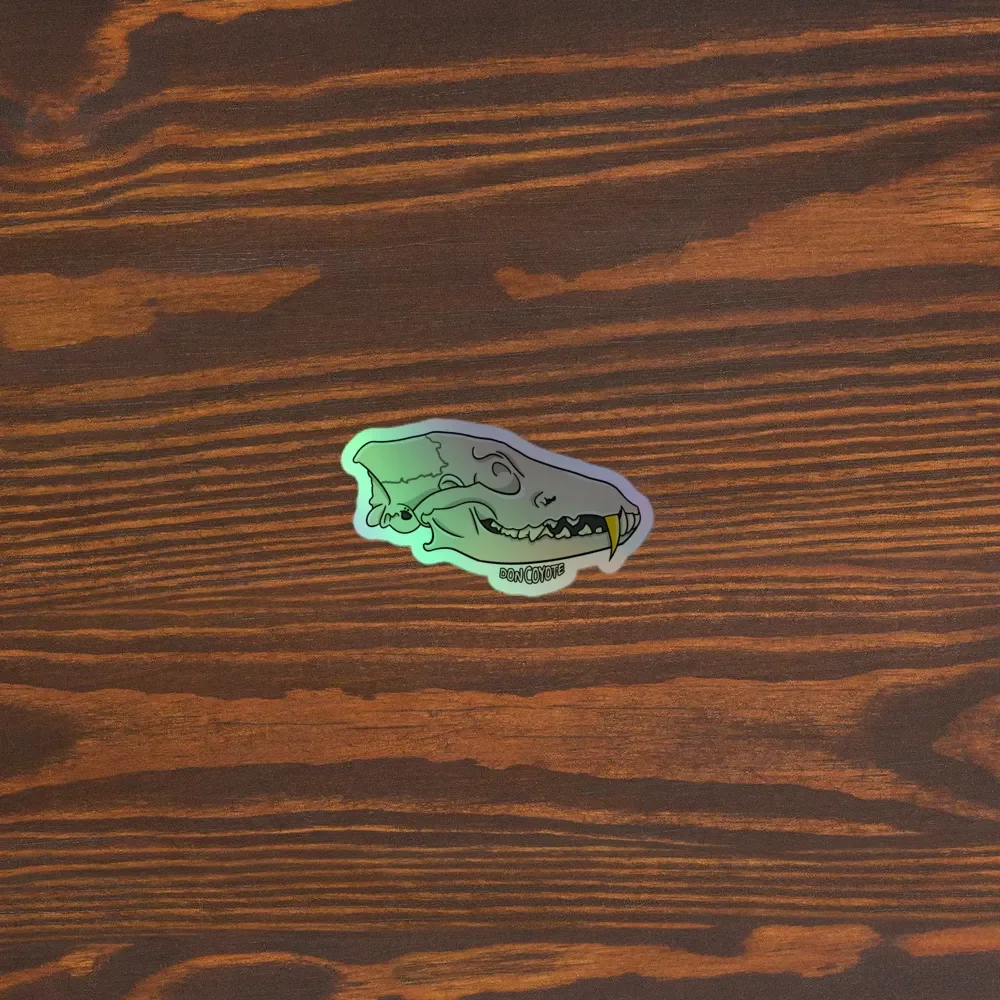 DC SKULL HOLO STICKERS product image (3)