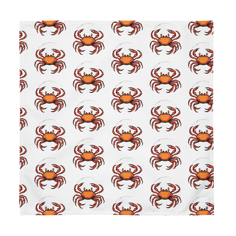 Crabby Chic Cloth Napkin Set product image (1)