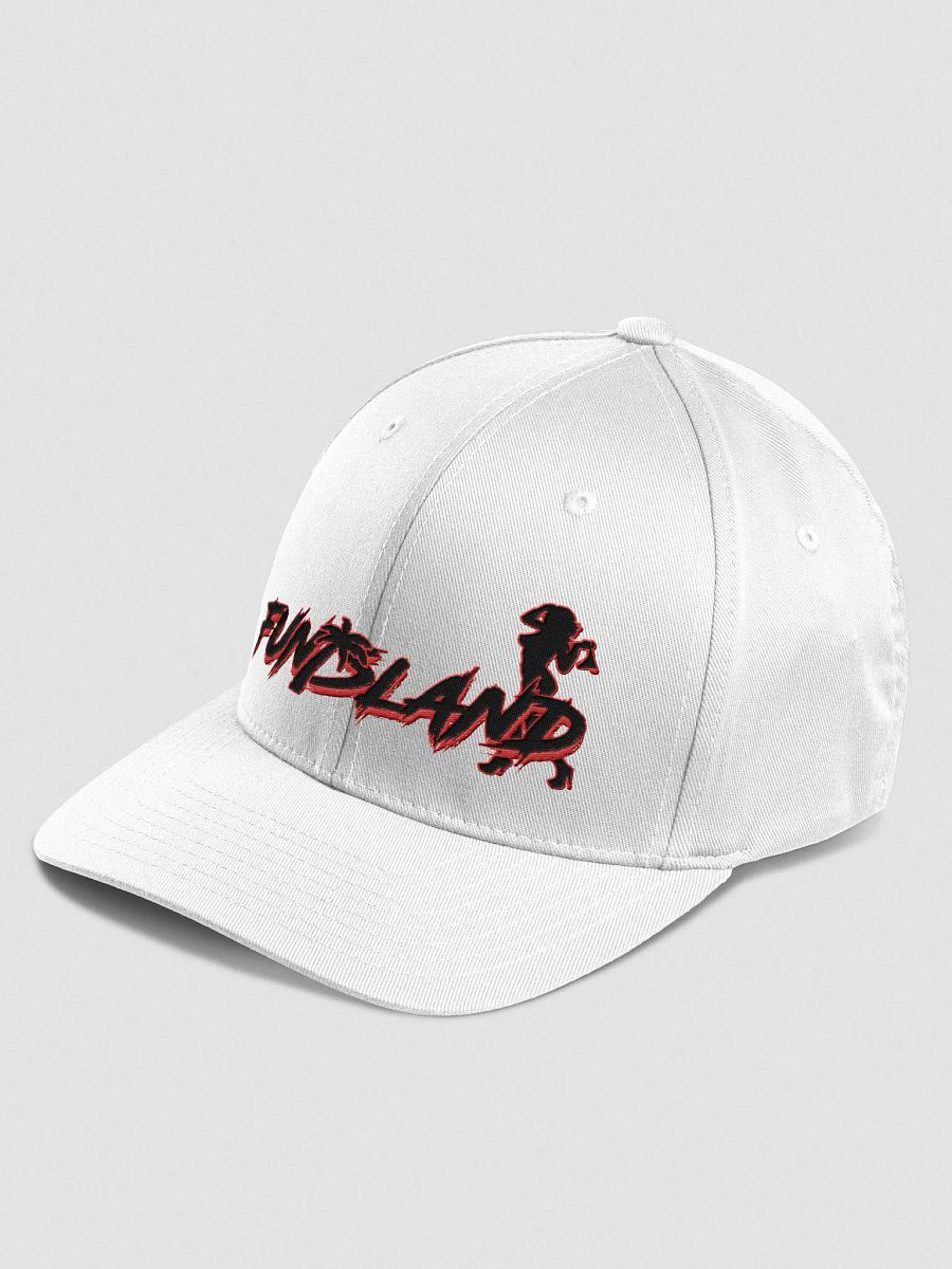 Embroidered Fitted Flexfit Hat product image (2)
