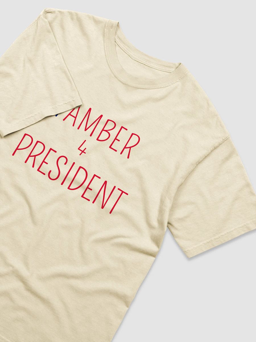Amber 4 President Retro Ambaby Heavyweight T-Shirt product image (4)