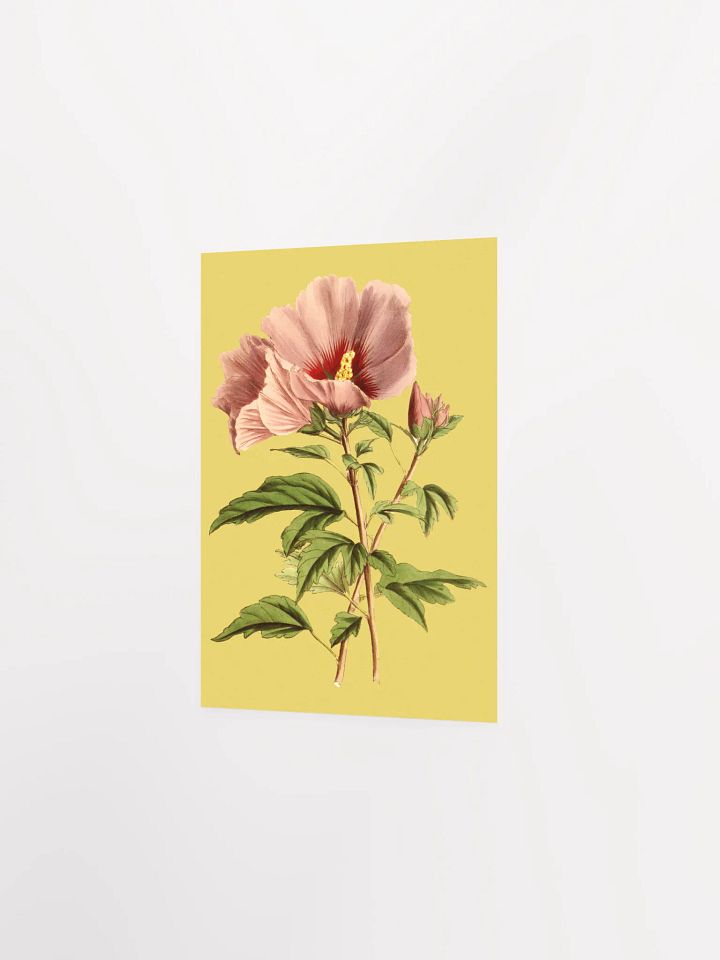 Pink Blossom Poster Print product image (3)