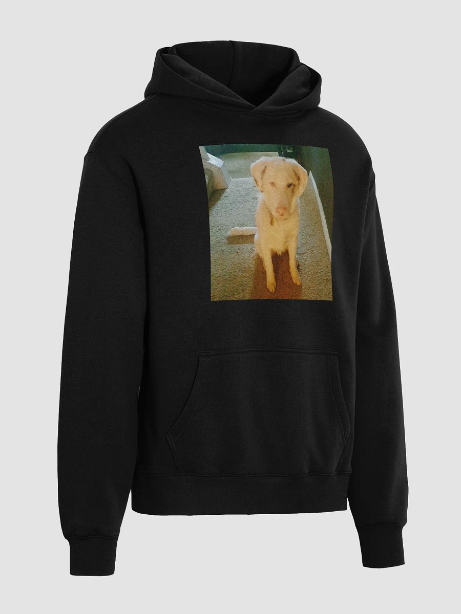 Ghost Dogg Album Hoodie product image (4)