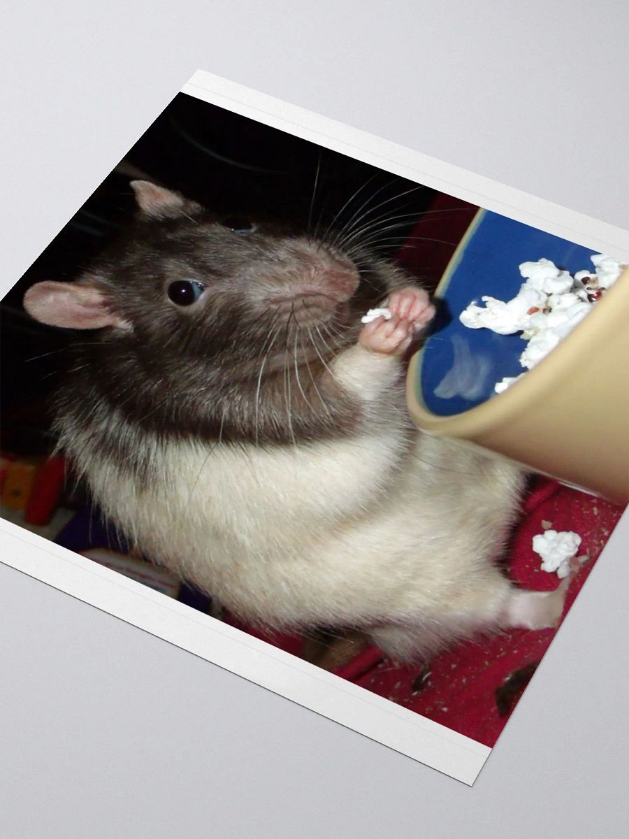 popcorn rat sticker product image (7)
