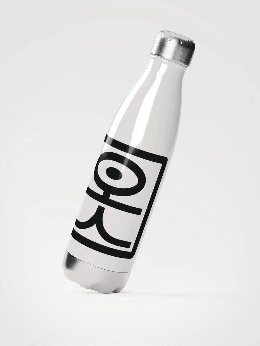 Stainless steel water bottle product image (2)