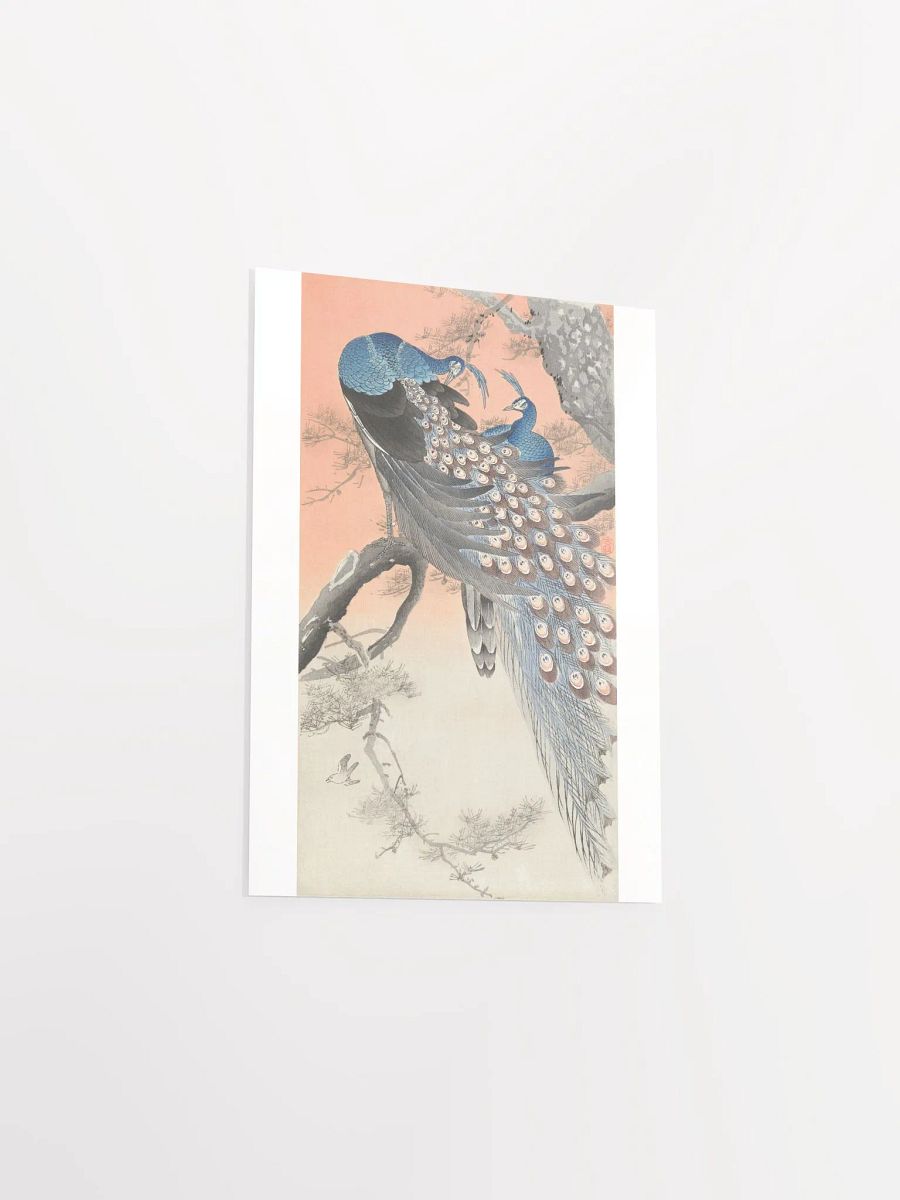 Two Peacocks on Tree Branch by Ohara Koson product image (3)