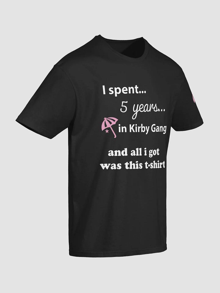 Spent 5 Years Got a T-Shirt product image (2)