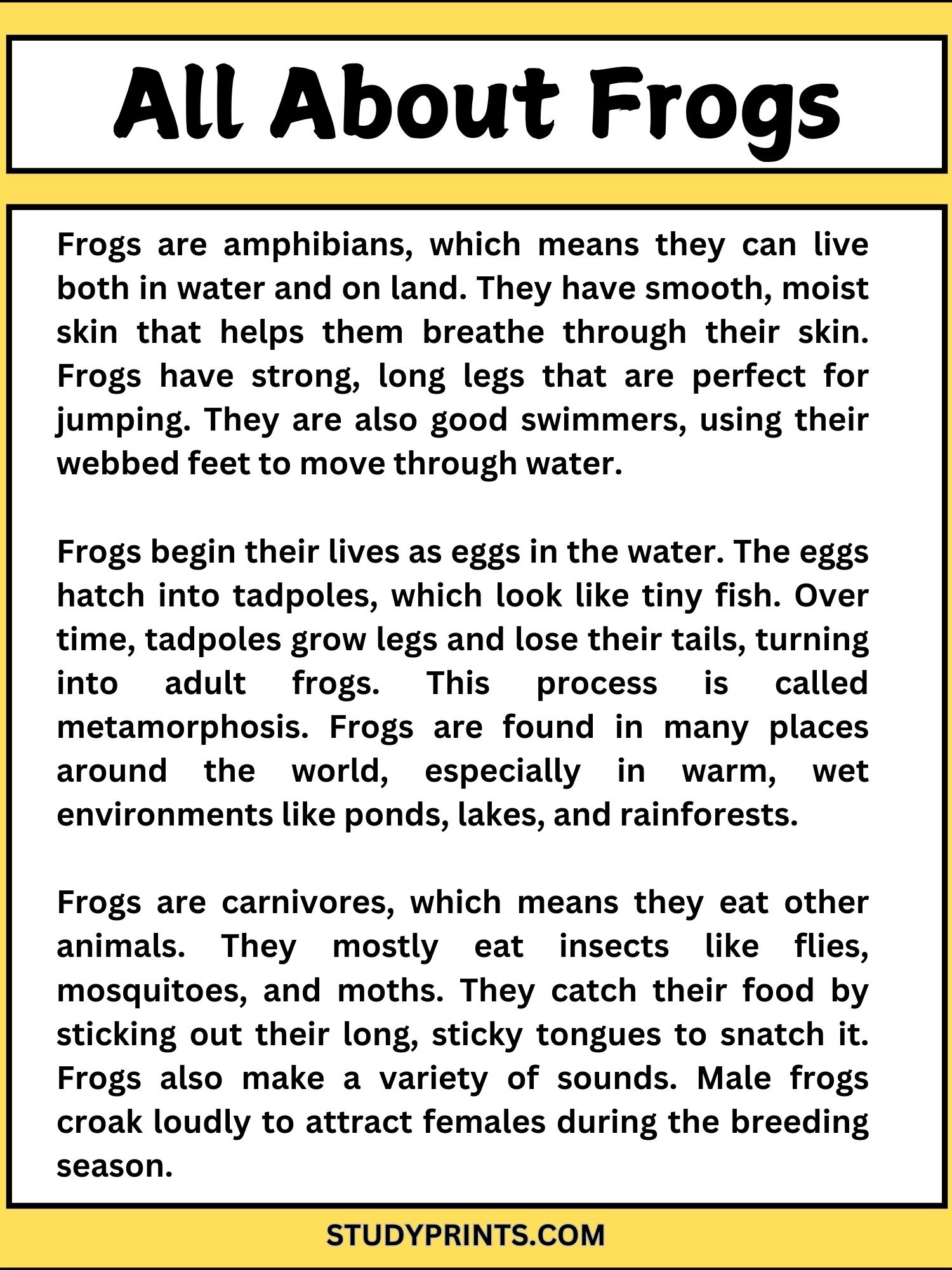 all about frogs reading comprehension worksheets product image (2)