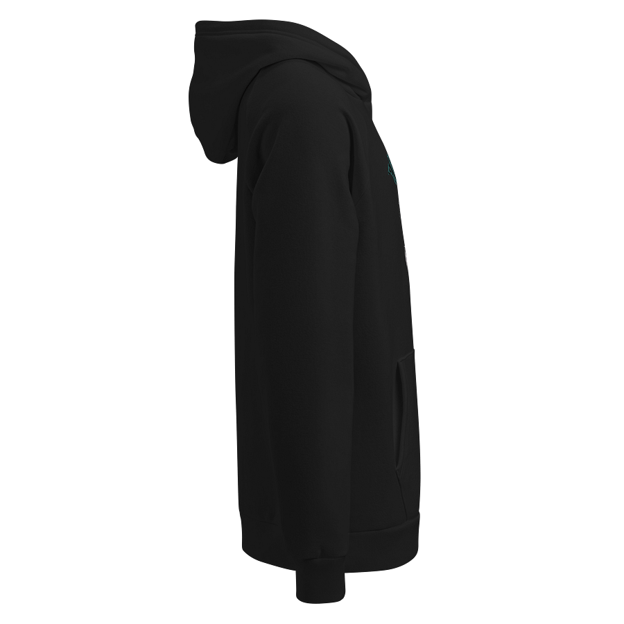 Team UnderArmor Hoodie product image (3)
