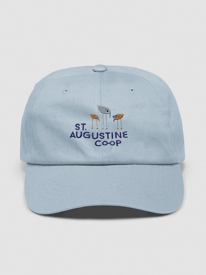 Co-op Hat product image (1)