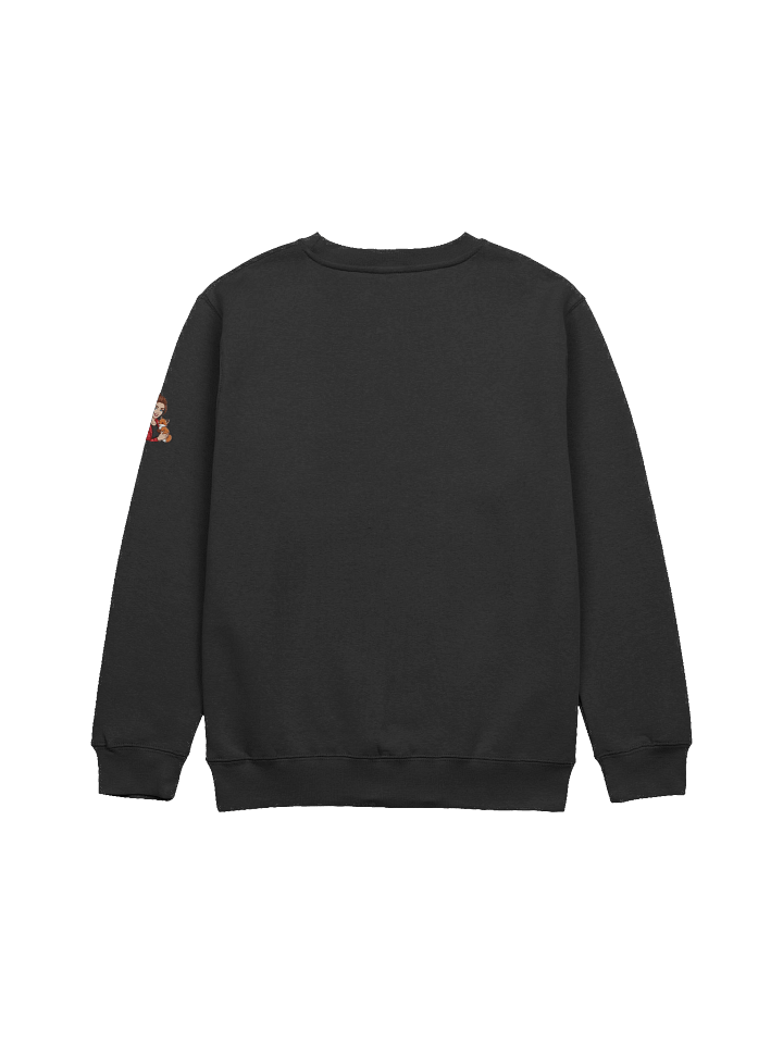 Crew neck sweatshirt product image (9)