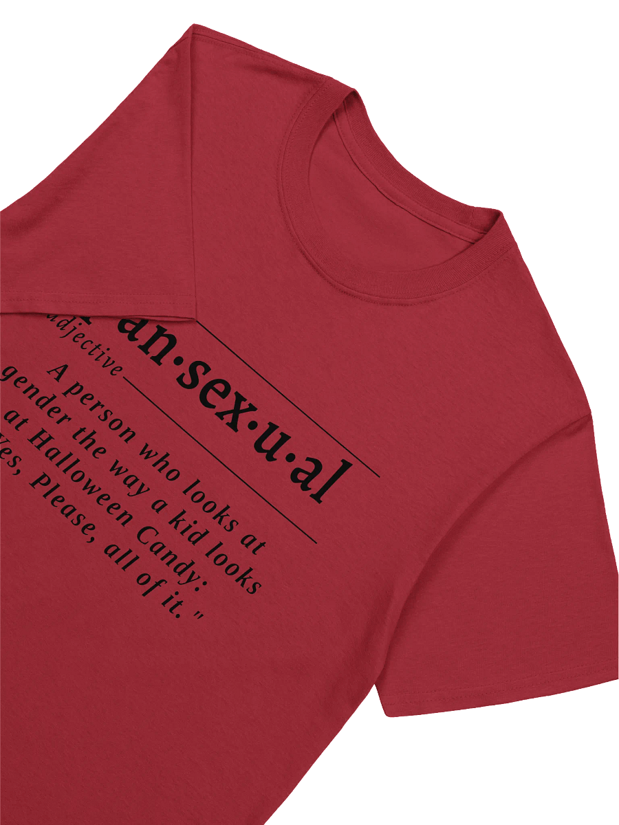 Pansexual Def Unisex Tee v2 product image (2)