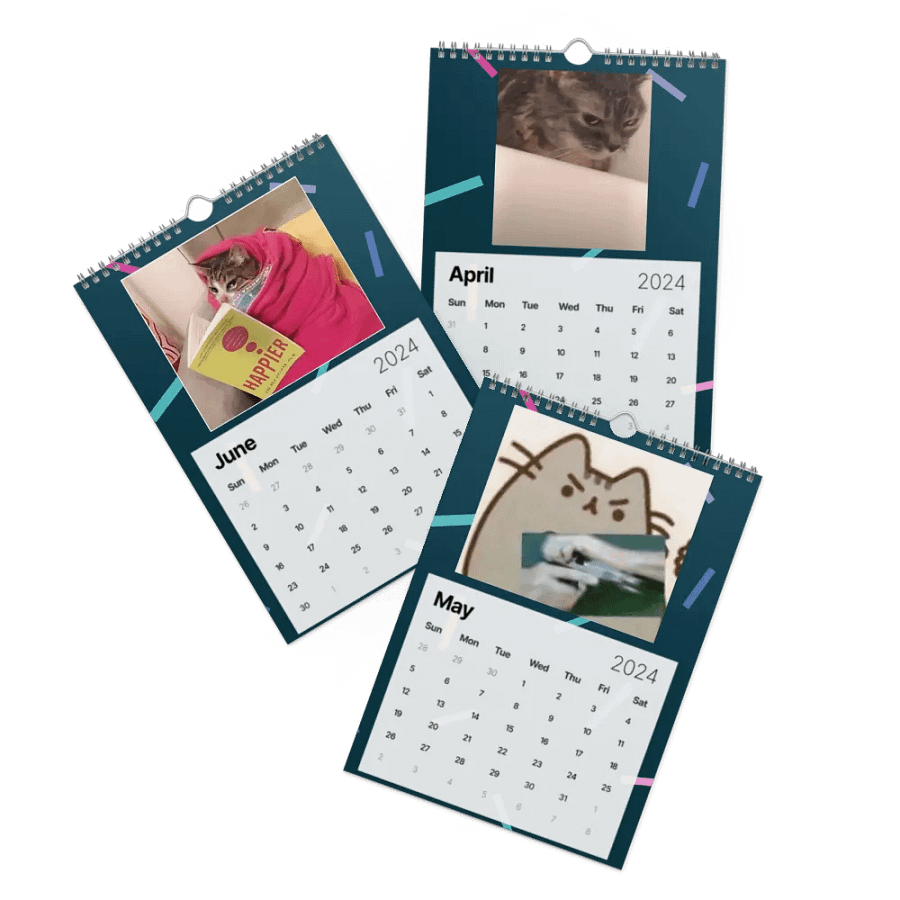 Wall Calendar (2024): Meme Cats product image (3)