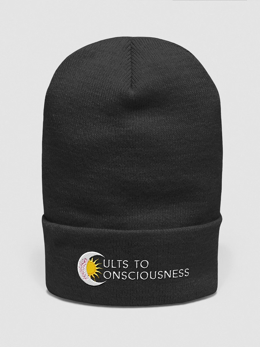 Cults to Consciousness product image (3)
