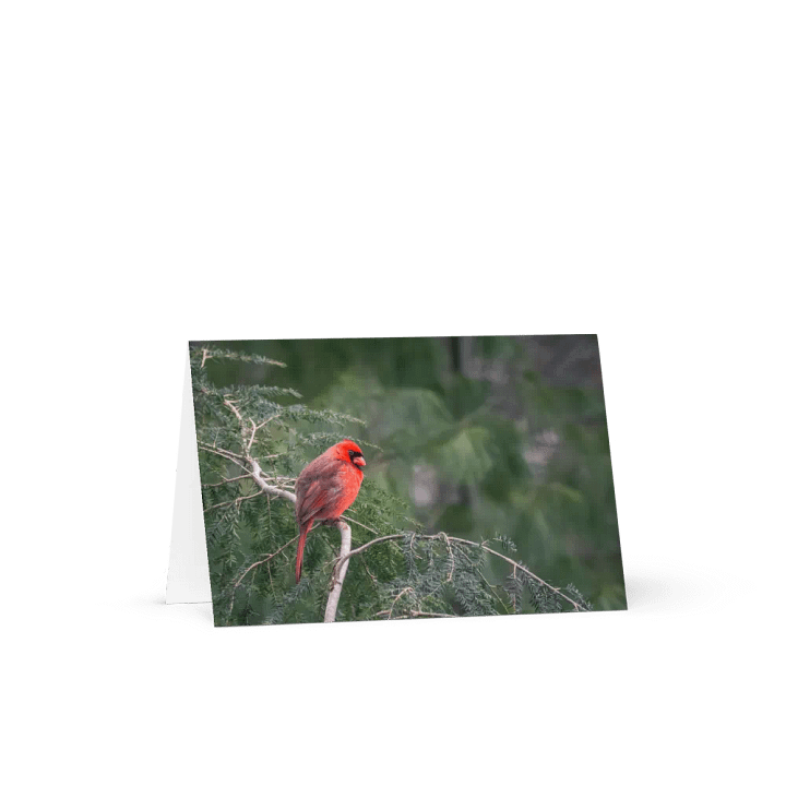 Cardinal on the Green Notecard product image (4)