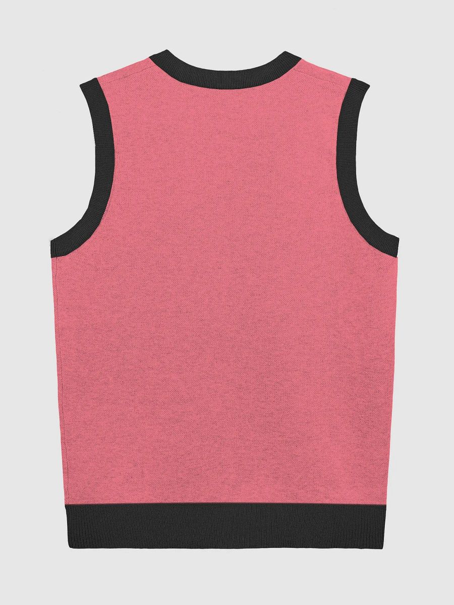 PLEASE DON'T MAKE ME TALK (hot pink and black) knitwear vest product image (8)