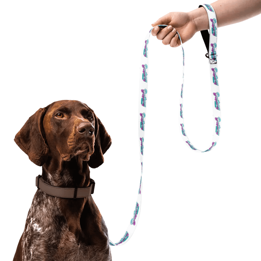 ASMR Destiny Pet Leash product image (4)