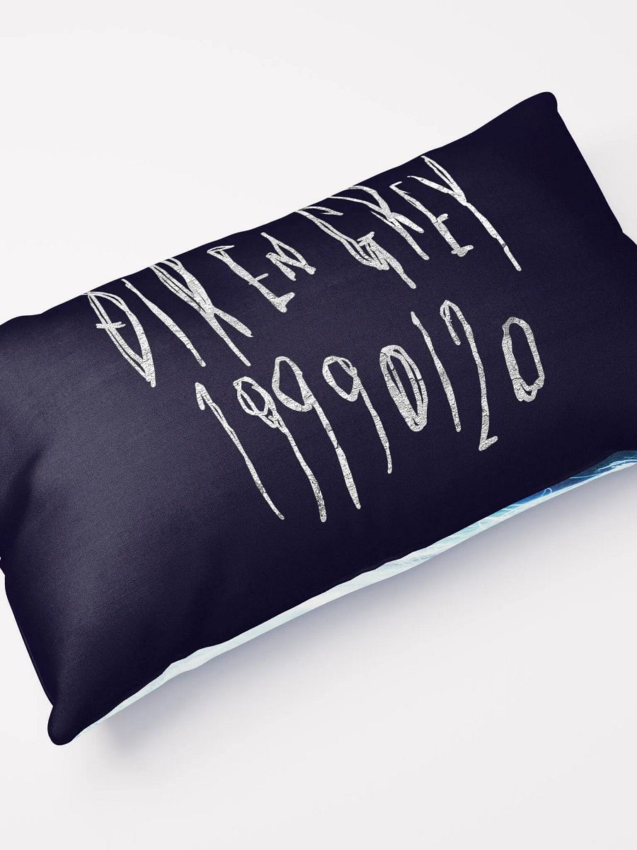 19990120 Limited Deluxe Version Artwork Long Pillow product image (3)