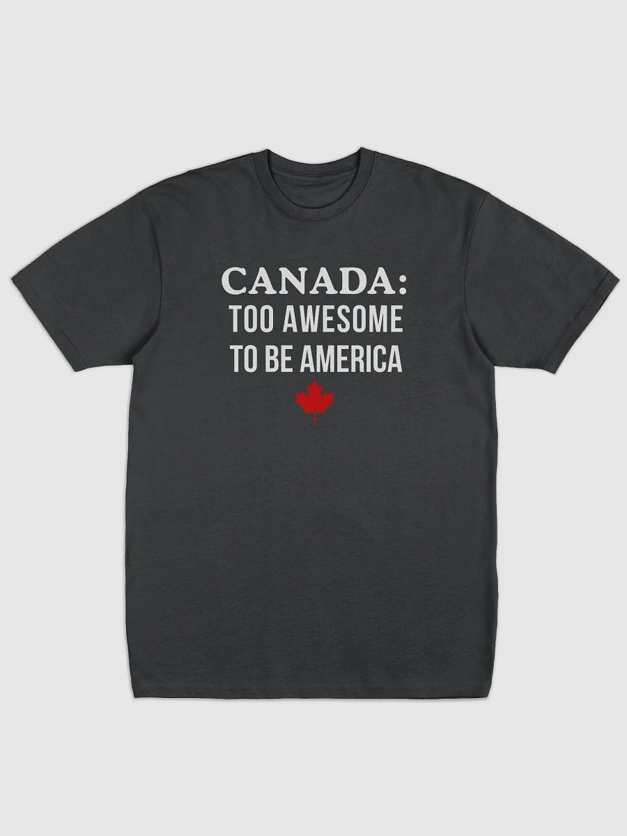 Canada Awesome Heavyweight Tee product image (1)