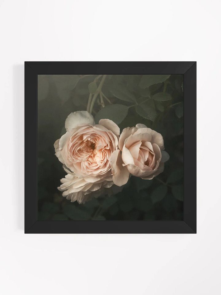 Blush of Summer product image (1)
