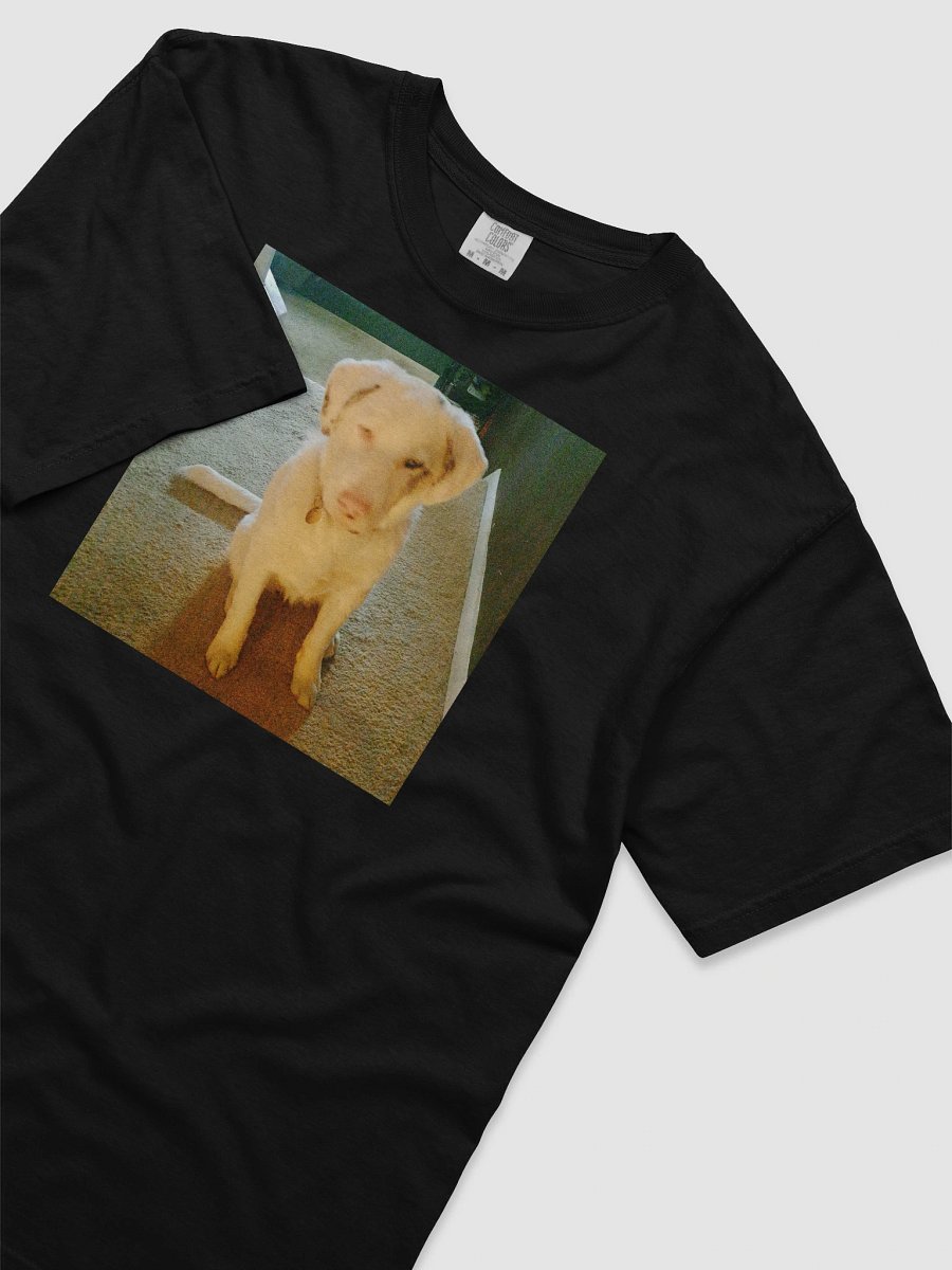 Ghost Dogg Album T-Shirt product image (3)