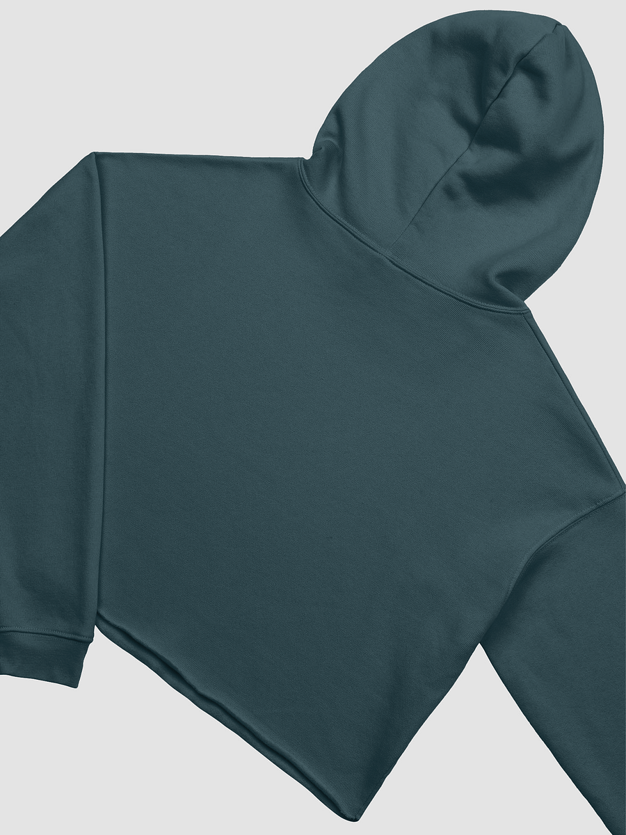 BUIII: No money, no happy Fleece Crop Hoodie product image (30)