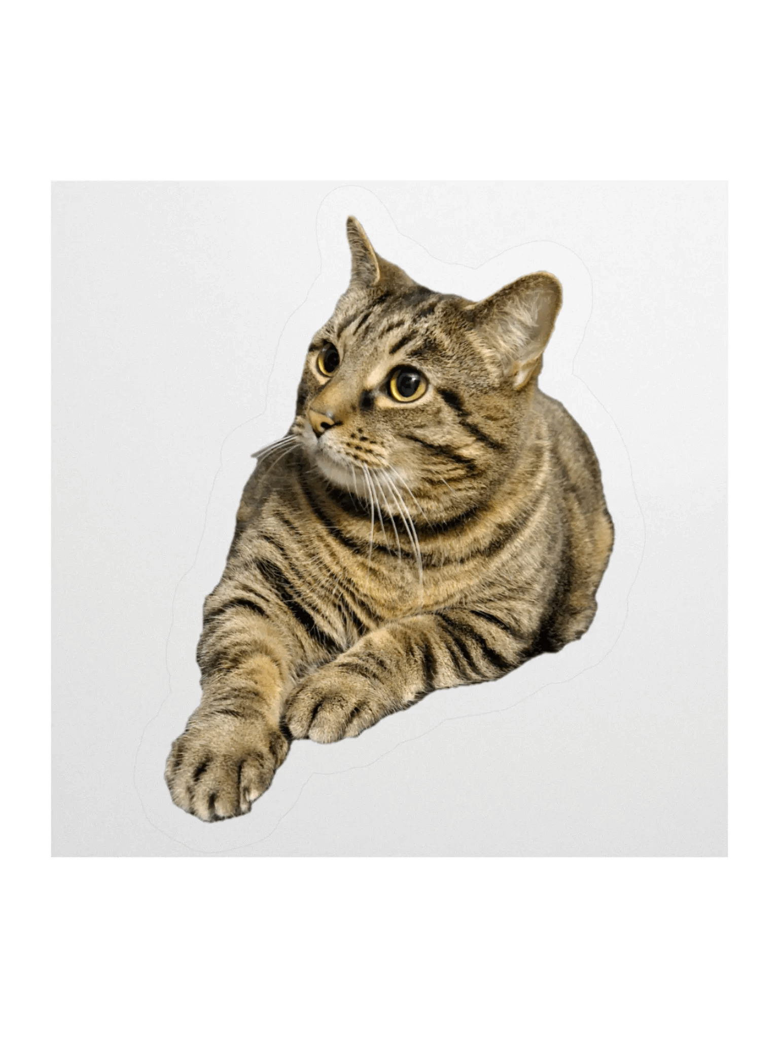 Buddy the Sir Chungus Amungus Sticker product image (1)