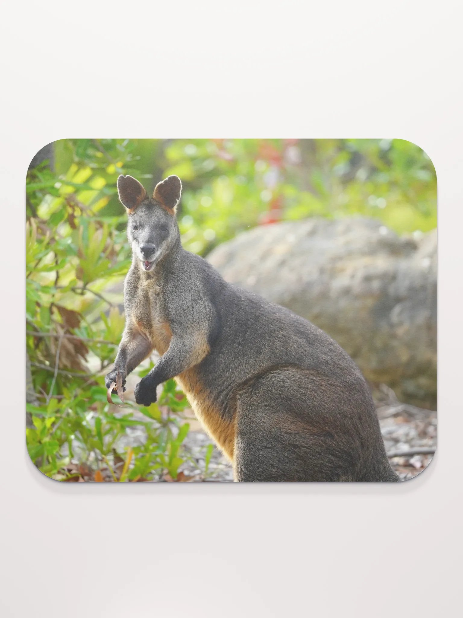 Kangaroo on a Mouse Pad product image (2)