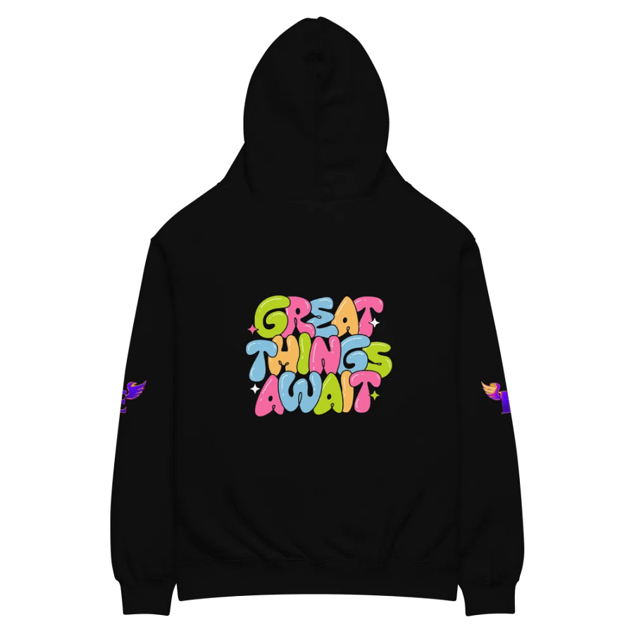 Great Things Await: Hoodie product image (7)